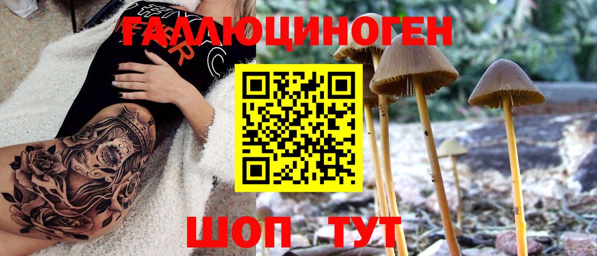 Галлюциногенные грибы Cubensis  Вход с VPN  Элиста 