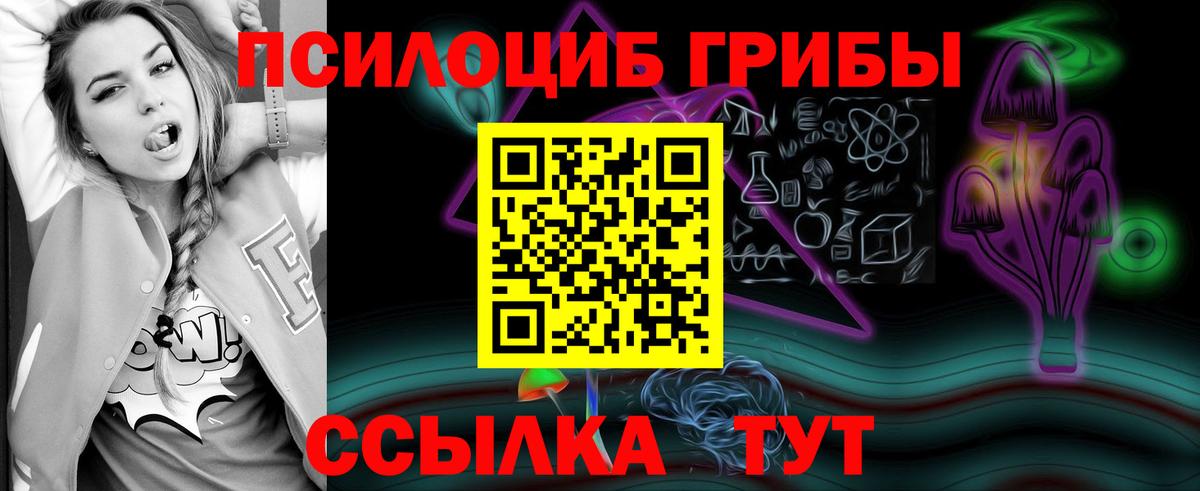Галлюциногенные грибы Psilocybine cubensis Элиста